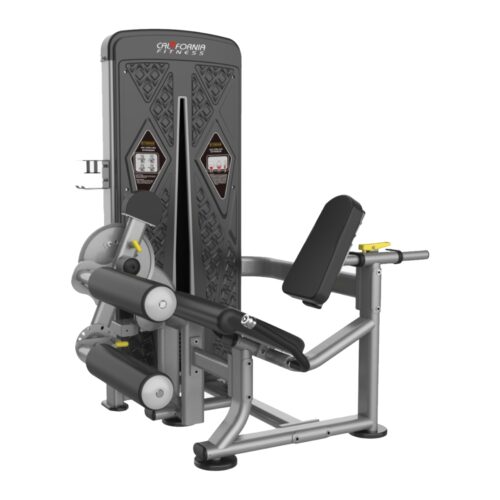 EG 5528 Leg Extension / Leg Curl