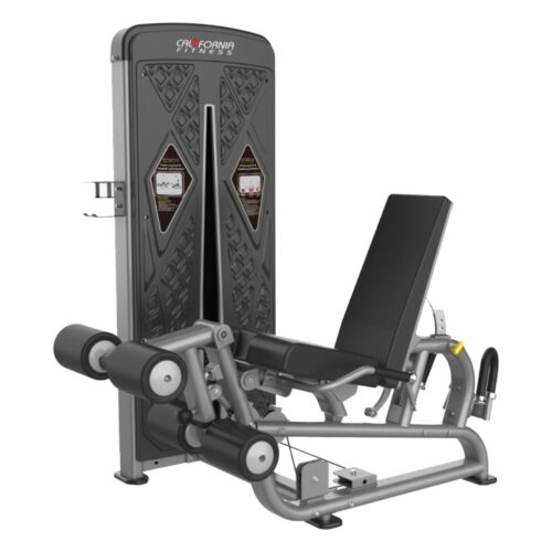 EG 5540 Leg Curl / Leg Extension