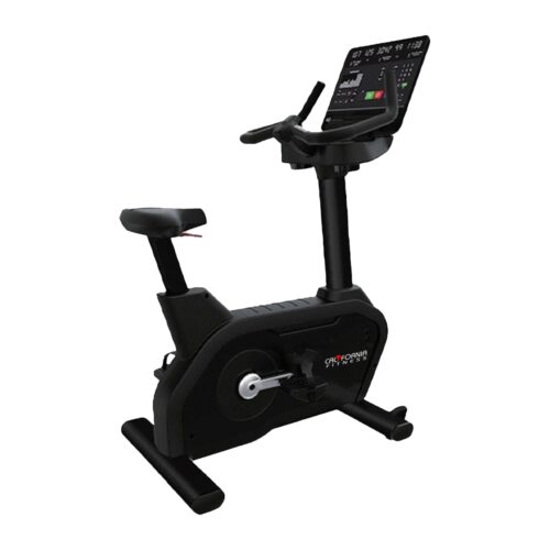 U300 Commercial Upright bike